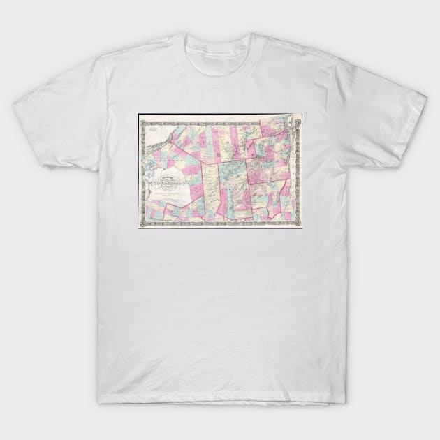 Vintage Map of The Adirondack Mountains (1867) T-Shirt by Bravuramedia